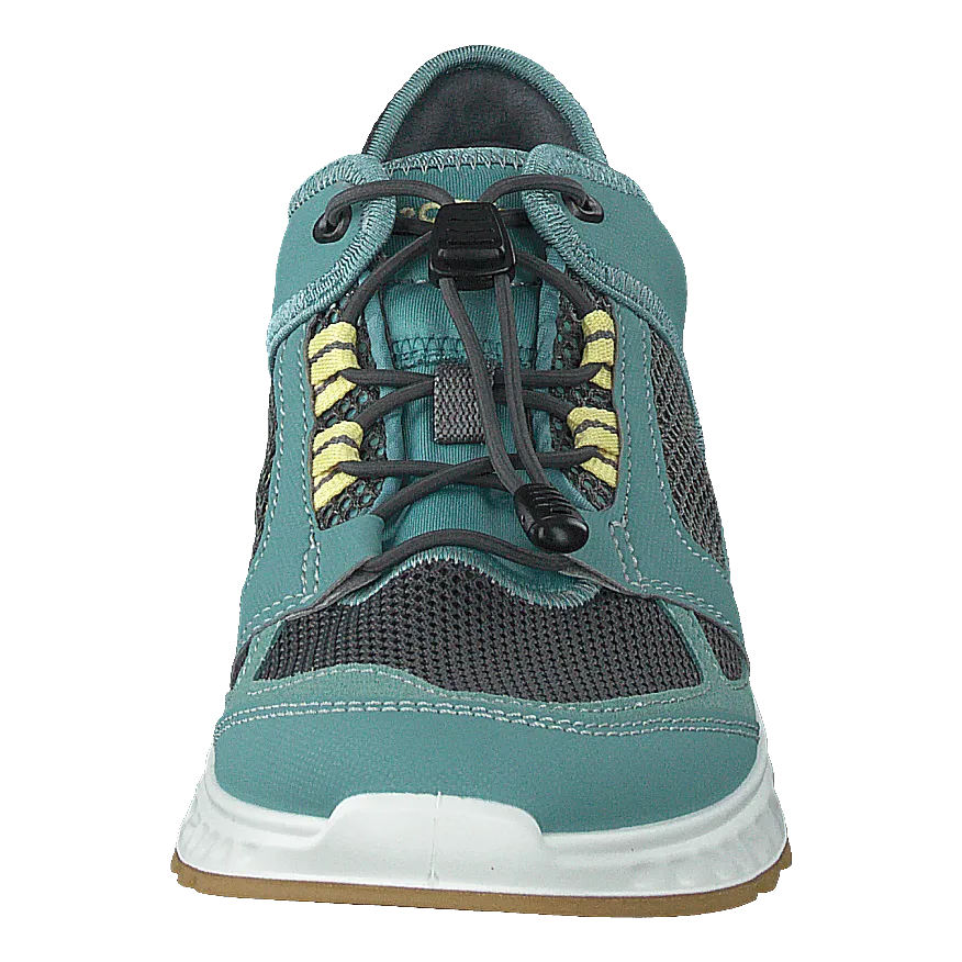 Exostride Trellis