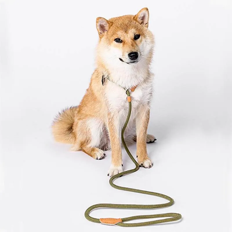 Rope Slip Lead